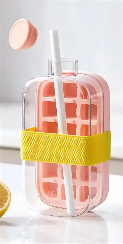 IceGo 800ml Bottle