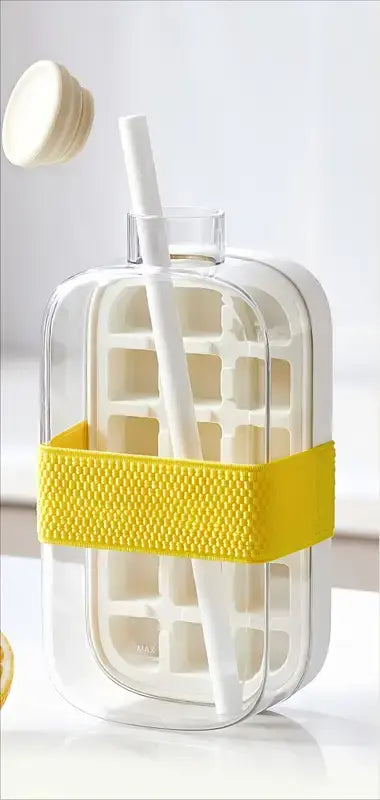 IceGo 800ml Bottle